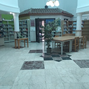 محوطه داخلی کتابخانه